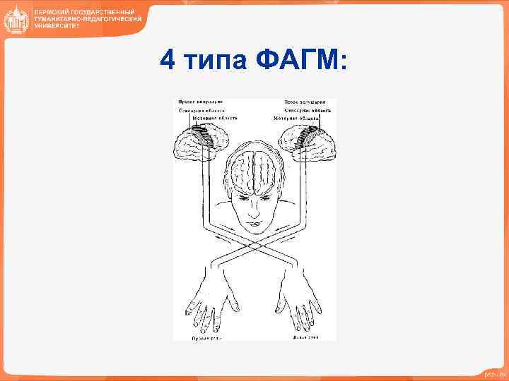 4 типа ФАГМ: 