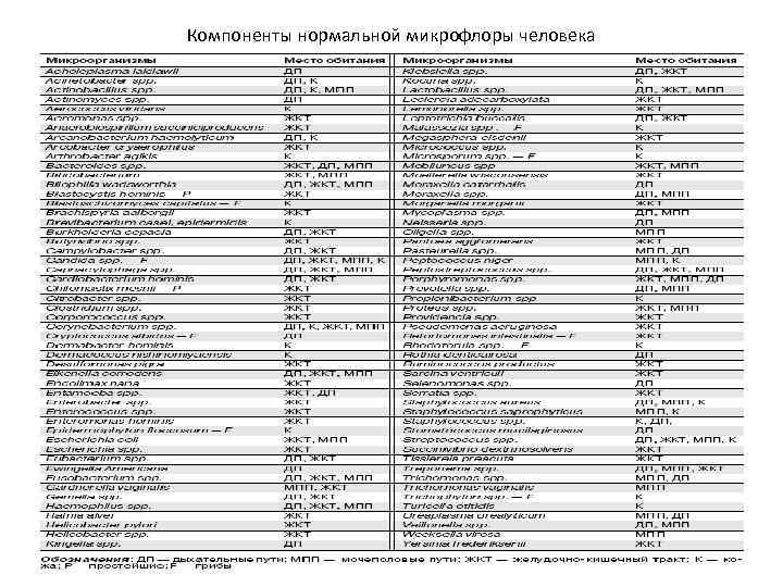 Компоненты нормальной микрофлоры человека 