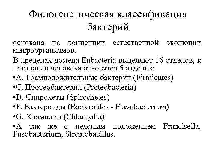 Принципы классификации систематика. Филогенетическая систематика микроорганизмов. Филогенетическая классификация бактерий. Биогенетическая классификация бактерий. Филогенетическая классификация микроорганизмов.