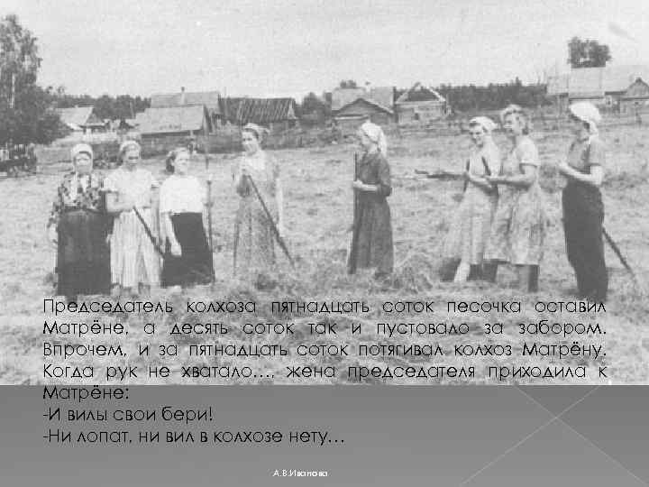 Председатель колхоза пятнадцать соток песочка оставил Матрёне, а десять соток так и пустовало за