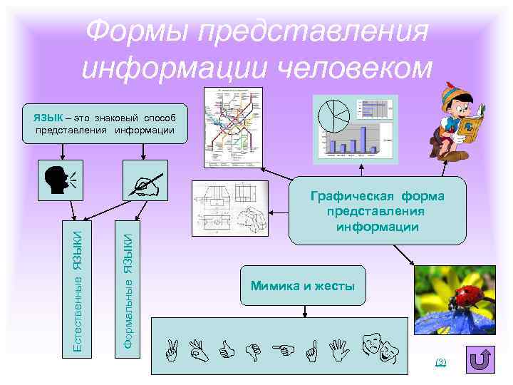 Формы представления информации человеком ЯЗЫК – это знаковый способ представления информации Формальные ЯЗЫКИ Естественные