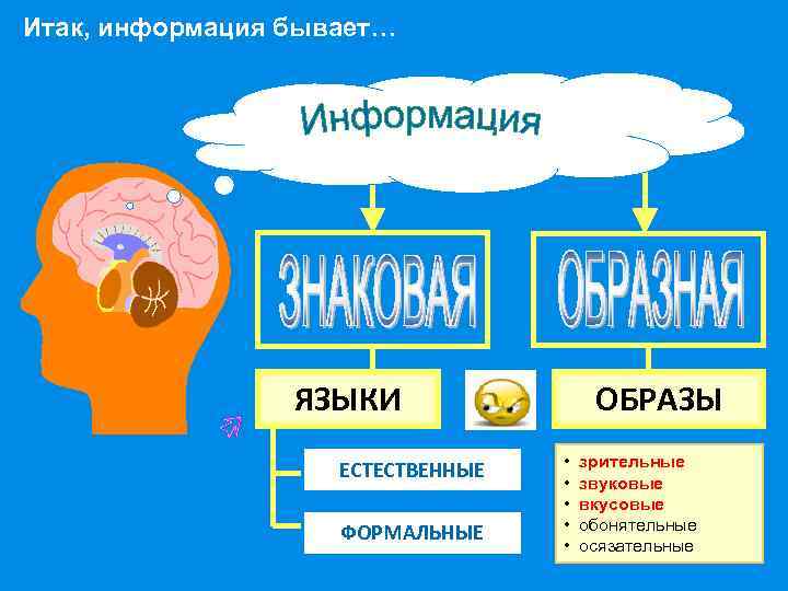 Итак, информация бывает… ЯЗЫКИ ЕСТЕСТВЕННЫЕ ФОРМАЛЬНЫЕ ОБРАЗЫ • • • зрительные звуковые вкусовые обонятельные
