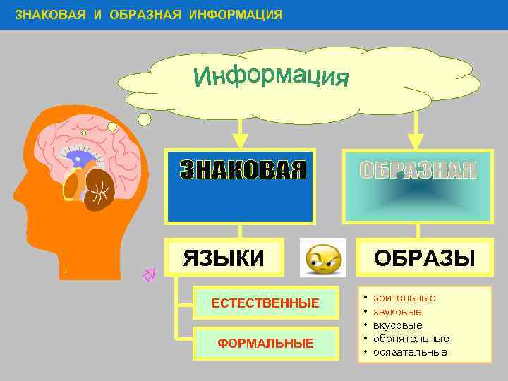 ЗНАКОВАЯ И ОБРАЗНАЯ ИНФОРМАЦИЯ ЯЗЫКИ ЕСТЕСТВЕННЫЕ ФОРМАЛЬНЫЕ ОБРАЗЫ • • • зрительные звуковые вкусовые