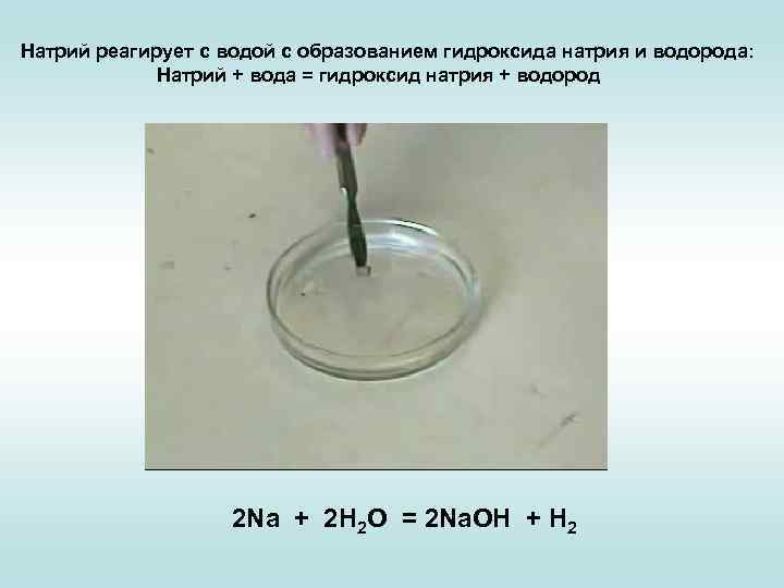 Натрий реагирует с водой с образованием гидроксида натрия и водорода: Натрий + вода =