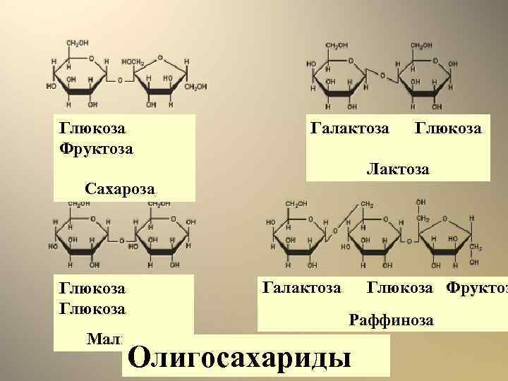 Глюкоза Фруктоза Галактоза Глюкоза Лактоза Сахароза Галактоза Глюкоза Фруктоз Раффиноза Мальтоза Олигосахариды 