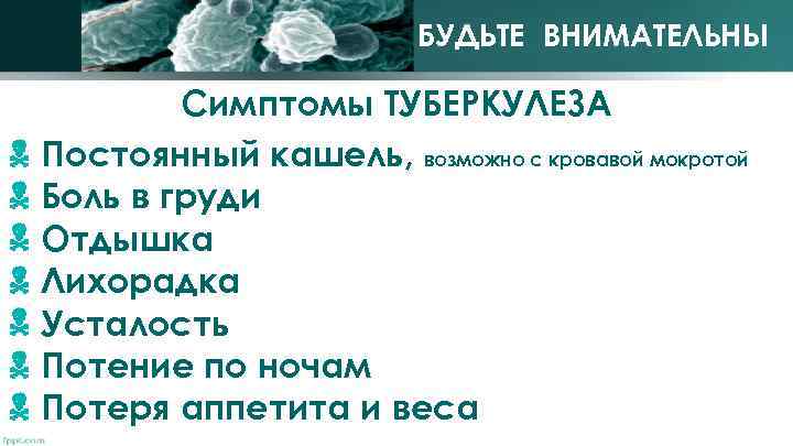 БУДЬТЕ ВНИМАТЕЛЬНЫ Симптомы ТУБЕРКУЛЕЗА Постоянный кашель, возможно с кровавой мокротой Боль в груди Отдышка