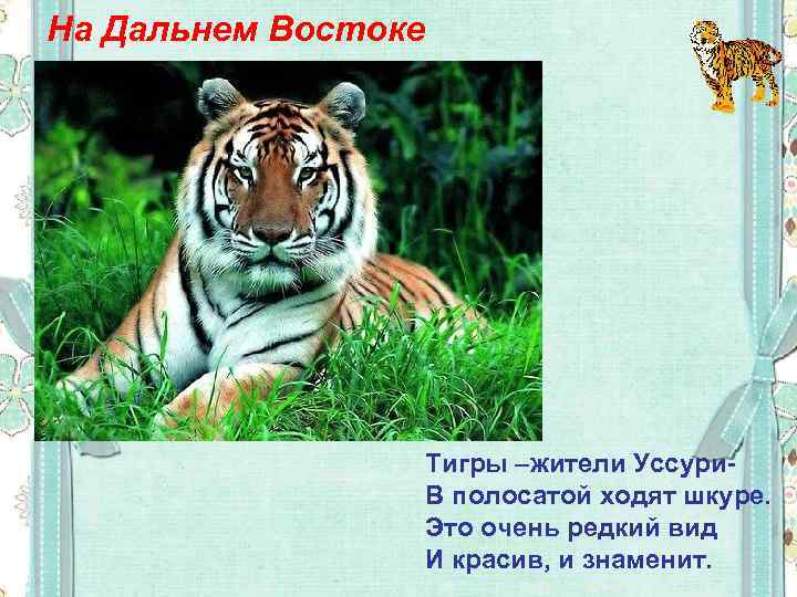 На Дальнем Востоке Тигры –жители Уссури. В полосатой ходят шкуре. Это очень редкий вид