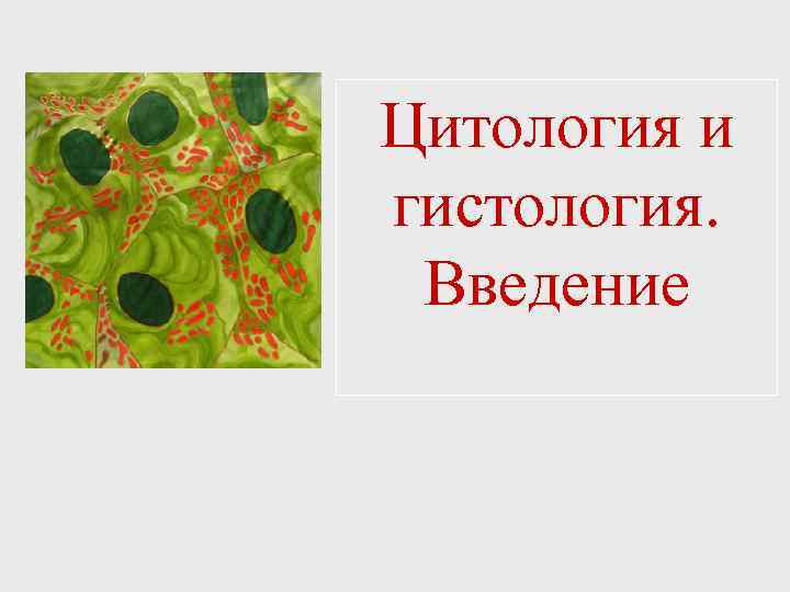 Цитология и гистология. Введение 
