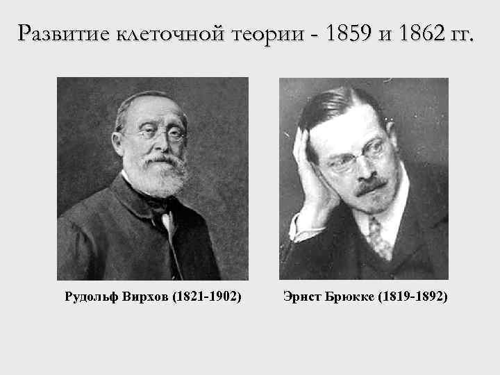Развитие клеточной теории - 1859 и 1862 гг. Рудольф Вирхов (1821 -1902) Эрнст Брюкке