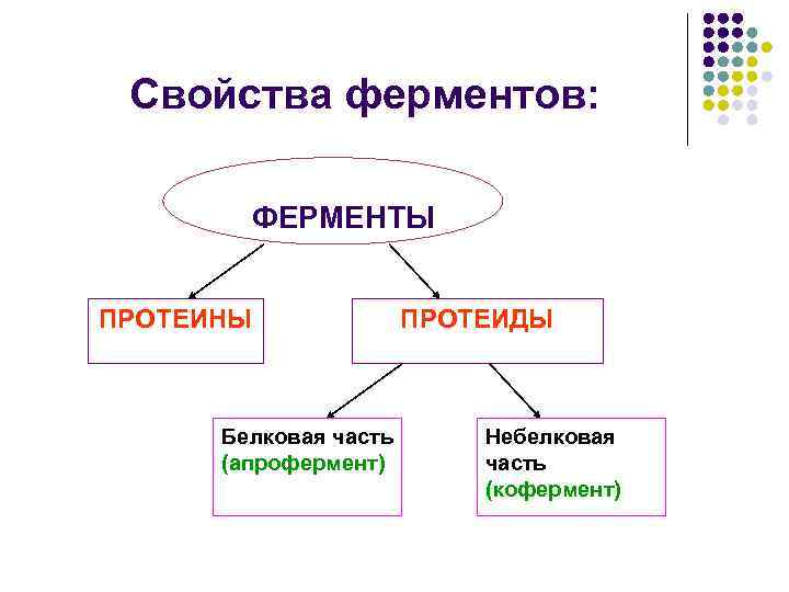 Свойства ферментов: ФЕРМЕНТЫ ПРОТЕИНЫ Белковая часть (апрофермент) ПРОТЕИДЫ Небелковая часть (кофермент) 