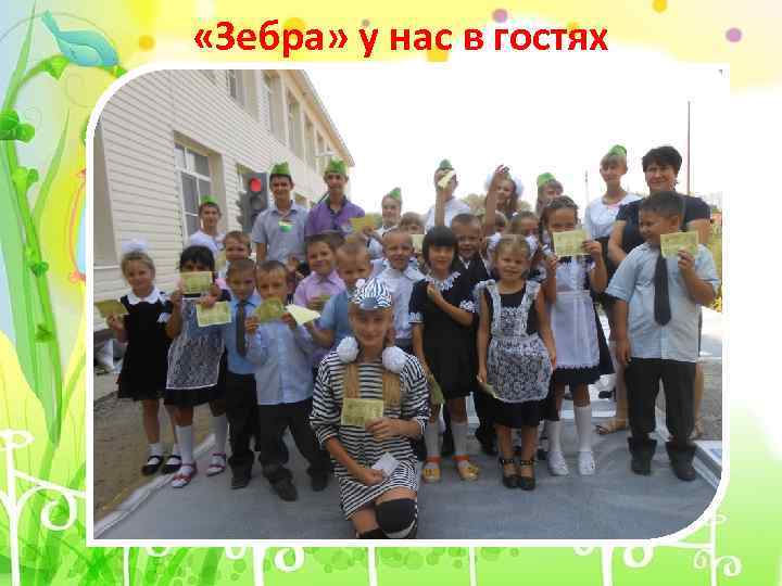  «Зебра» у нас в гостях 