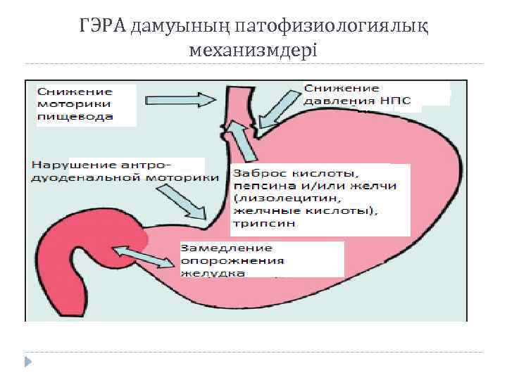 ГЭРА дамуының патофизиологиялық механизмдері 