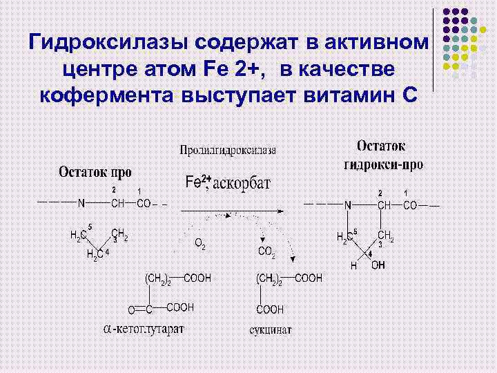 Гидроксилазы содержат в активном центре атом Fe 2+, в качестве кофермента выступает витамин С