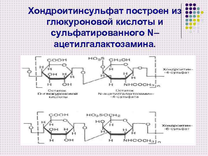 Хондроитинсульфат построен из глюкуроновой кислоты и сульфатированного N– ацетилгалактозамина. 