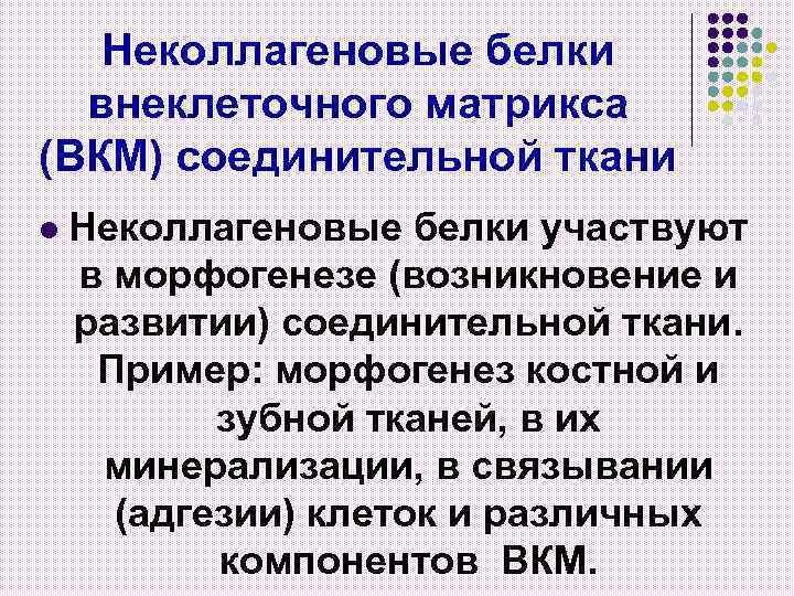 Неколлагеновые белки внеклеточного матрикса (ВКМ) соединительной ткани l Неколлагеновые белки участвуют в морфогенезе (возникновение