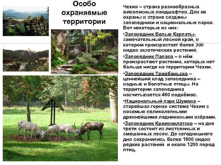 Особо охраняемые территории Чехия – страна разнообразных живописных ландшафтов. Для их охраны в стране