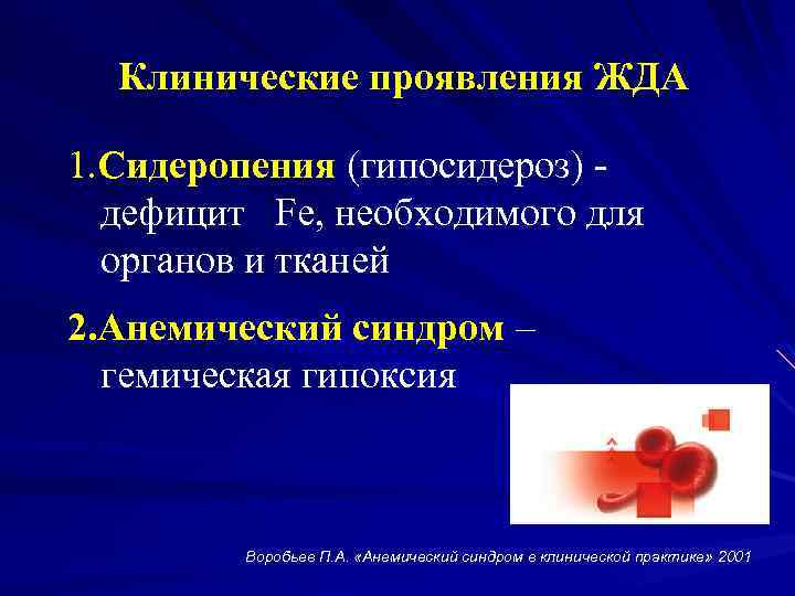 Клинические проявления ЖДА 1. Сидеропения (гипосидероз) дефицит Fe, необходимого для органов и тканей 2.