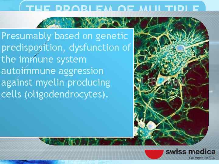THE PROBLEM OF MULTIPLE SCLEROSIS Presumably based on genetic predisposition, dysfunction of the immune