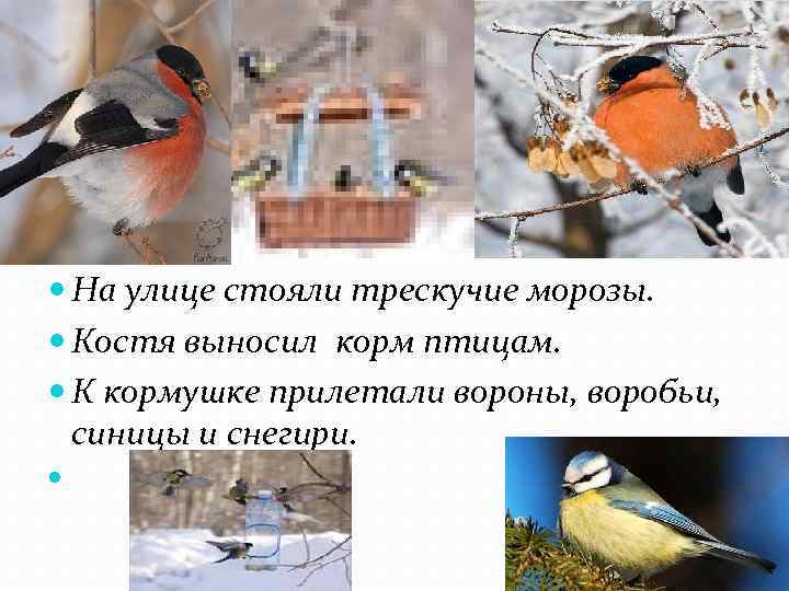  На улице стояли трескучие морозы. Костя выносил корм птицам. К кормушке прилетали вороны,