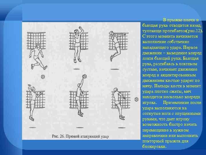 В прыжке плечи и бьющая рука отводится назад, туловище прогибается(рис. 12). С этого момента