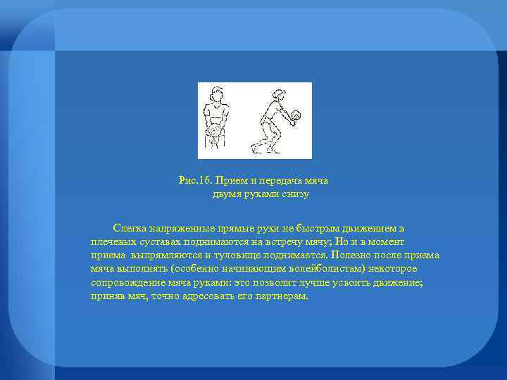 Рис. 16. Прием и передача мяча двумя руками снизу Слегка напряженные прямые руки не