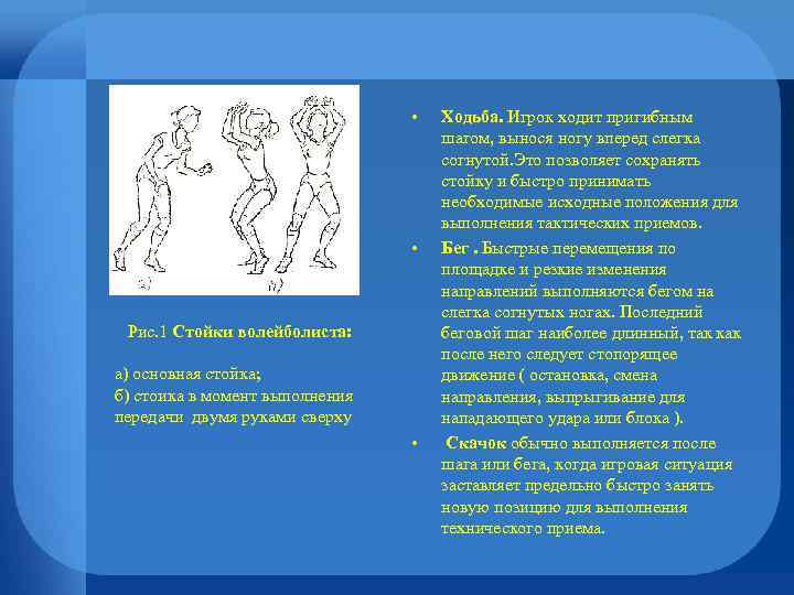  • • Рис. 1 Стойки волейболиста: а) основная стойка; б) стоика в момент