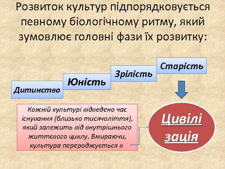 Розвиток культур підпорядковується певному біологічному ритму, який зумовлює головні фази їх розвитку: Дитинство Юність