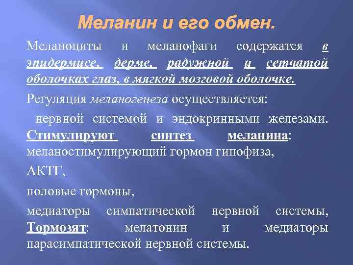 Меланин и его обмен. Меланоциты и меланофаги содержатся в эпидермисе, дерме, радужной и сетчатой