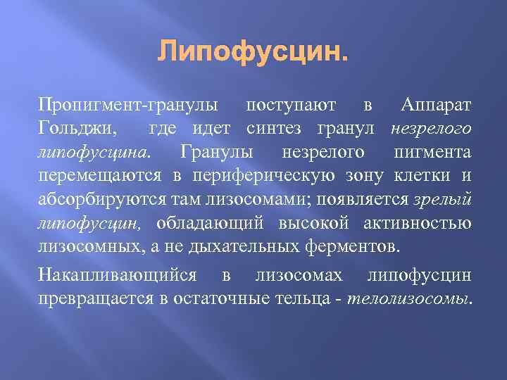 Липофусцин. Пропигмент-гранулы поступают в Аппарат Гольджи, где идет синтез гранул незрелого липофусцина. Гранулы незрелого