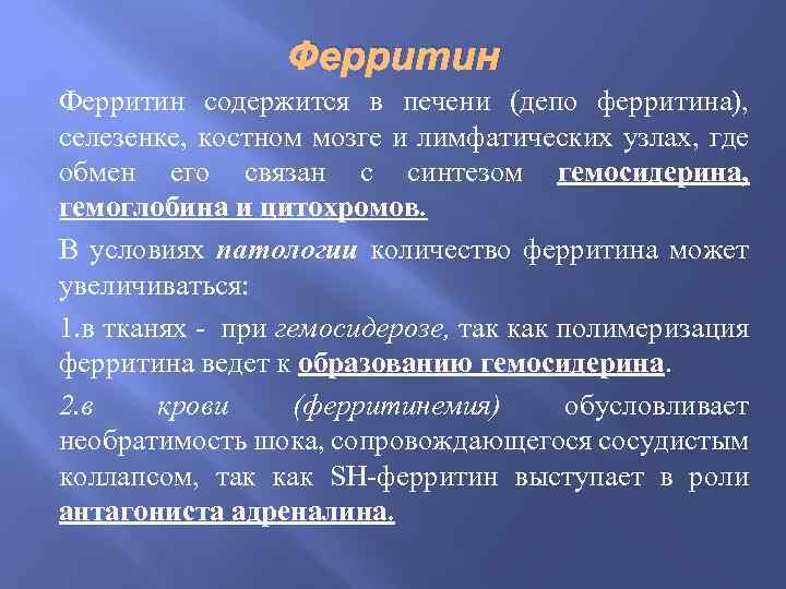 Ферритин содержится в печени (депо ферритина), селезенке, костном мозге и лимфатических узлах, где обмен