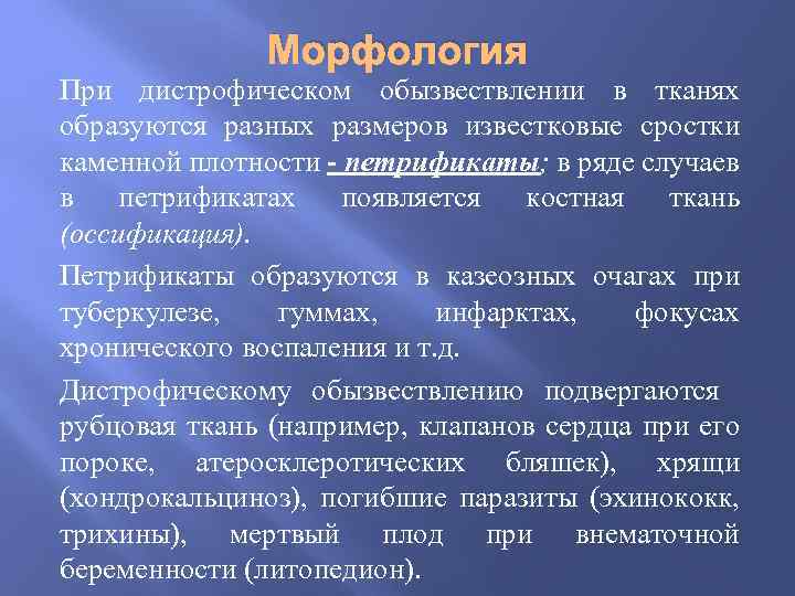 Морфология При дистрофическом обызвествлении в тканях образуются разных размеров известковые сростки каменной плотности -