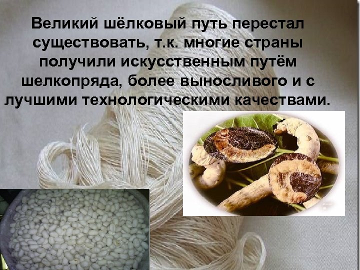 Великий шёлковый путь перестал существовать, т. к. многие страны получили искусственным путём шелкопряда, более