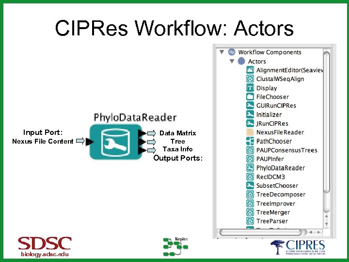 CIPRes Workflow: Actors Input Port: Nexus File Content Data Matrix Tree Taxa Info Output