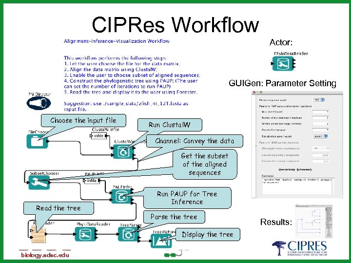 CIPRes Workflow Actor: GUIGen: Parameter Setting Choose the input file Run Clustal. W Channel:
