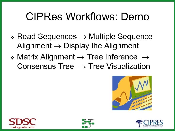 CIPRes Workflows: Demo Read Sequences Multiple Sequence Alignment Display the Alignment v Matrix Alignment