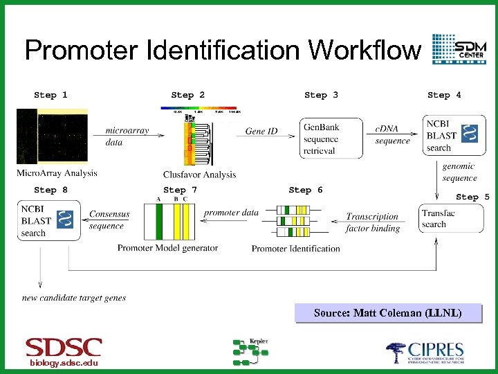 Promoter Identification Workflow Source: Matt Coleman (LLNL) biology. sdsc. edu 