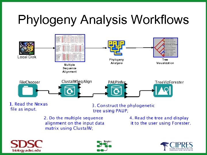 Phylogeny Analysis Workflows Local Disk Multiple Sequence Alignment biology. sdsc. edu Phylogeny Analysis Tree