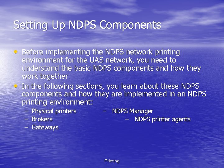 Setting Up NDPS Components • Before implementing the NDPS network printing • environment for