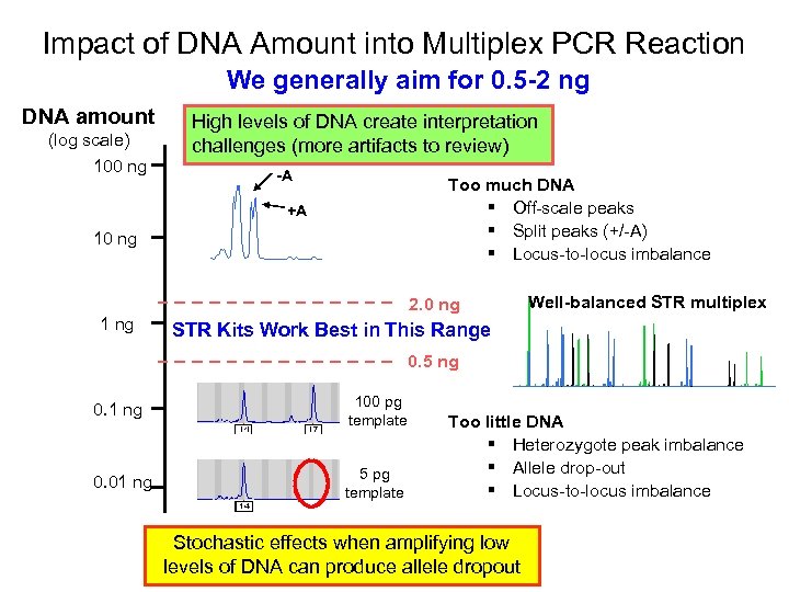 Impact of DNA Amount into Multiplex PCR Reaction We generally aim for 0. 5