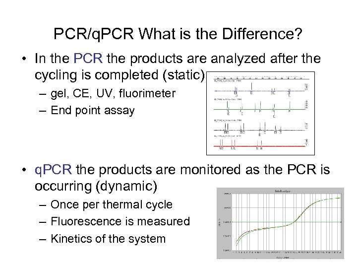 PCR/q. PCR What is the Difference? • In the PCR the products are analyzed