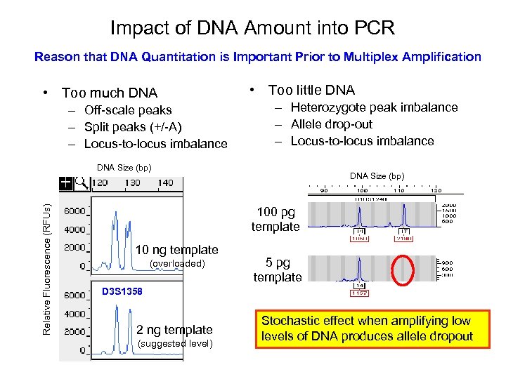 Impact of DNA Amount into PCR Reason that DNA Quantitation is Important Prior to