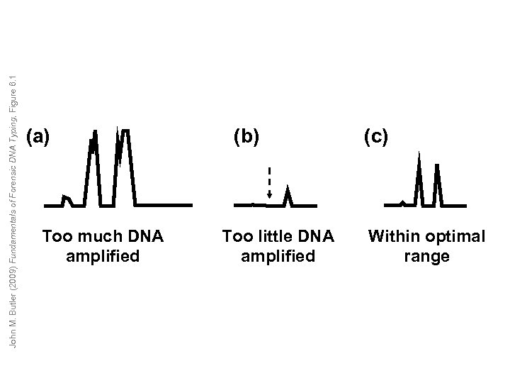 John M. Butler (2009) Fundamentals of Forensic DNA Typing, Figure 6. 1 (a) Too