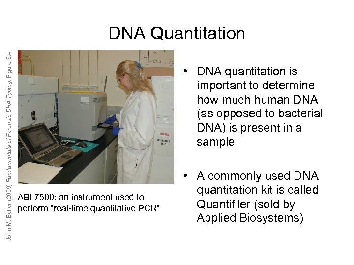 John M. Butler (2009) Fundamentals of Forensic DNA Typing, Figure 6. 4 DNA Quantitation