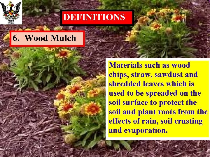 DEFINITIONS 6. Wood Mulch Materials such as wood chips, straw, sawdust and shredded leaves