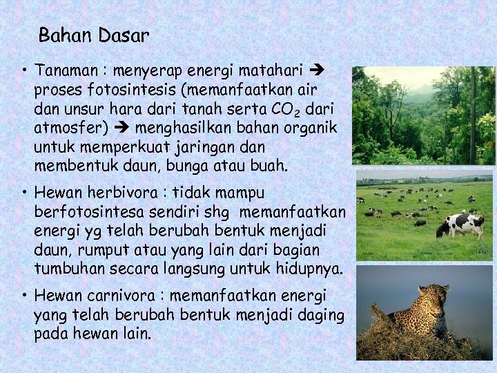 Bahan Dasar • Tanaman : menyerap energi matahari proses fotosintesis (memanfaatkan air dan unsur