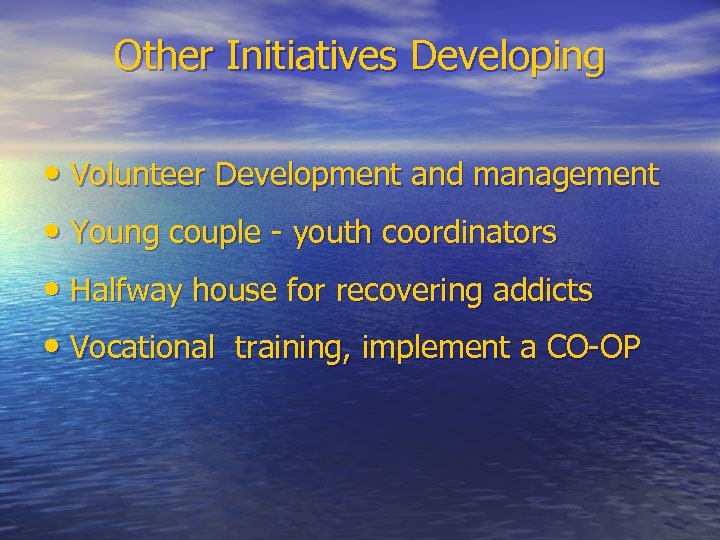 Other Initiatives Developing • Volunteer Development and management • Young couple - youth coordinators