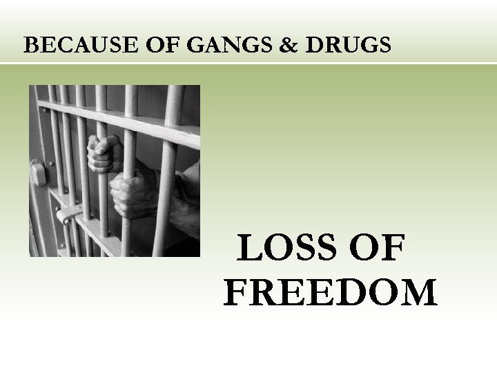 BECAUSE OF GANGS & DRUGS LOSS OF FREEDOM 