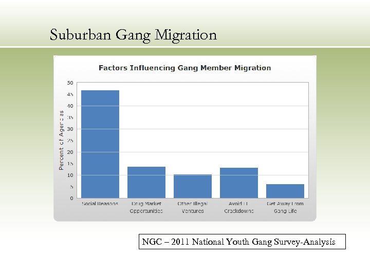 Suburban Gang Migration NGC – 2011 National Youth Gang Survey-Analysis 
