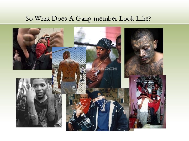 So What Does A Gang-member Look Like? 