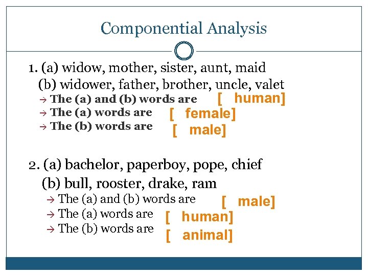 Componential Analysis 1. (a) widow, mother, sister, aunt, maid (b) widower, father, brother, uncle,